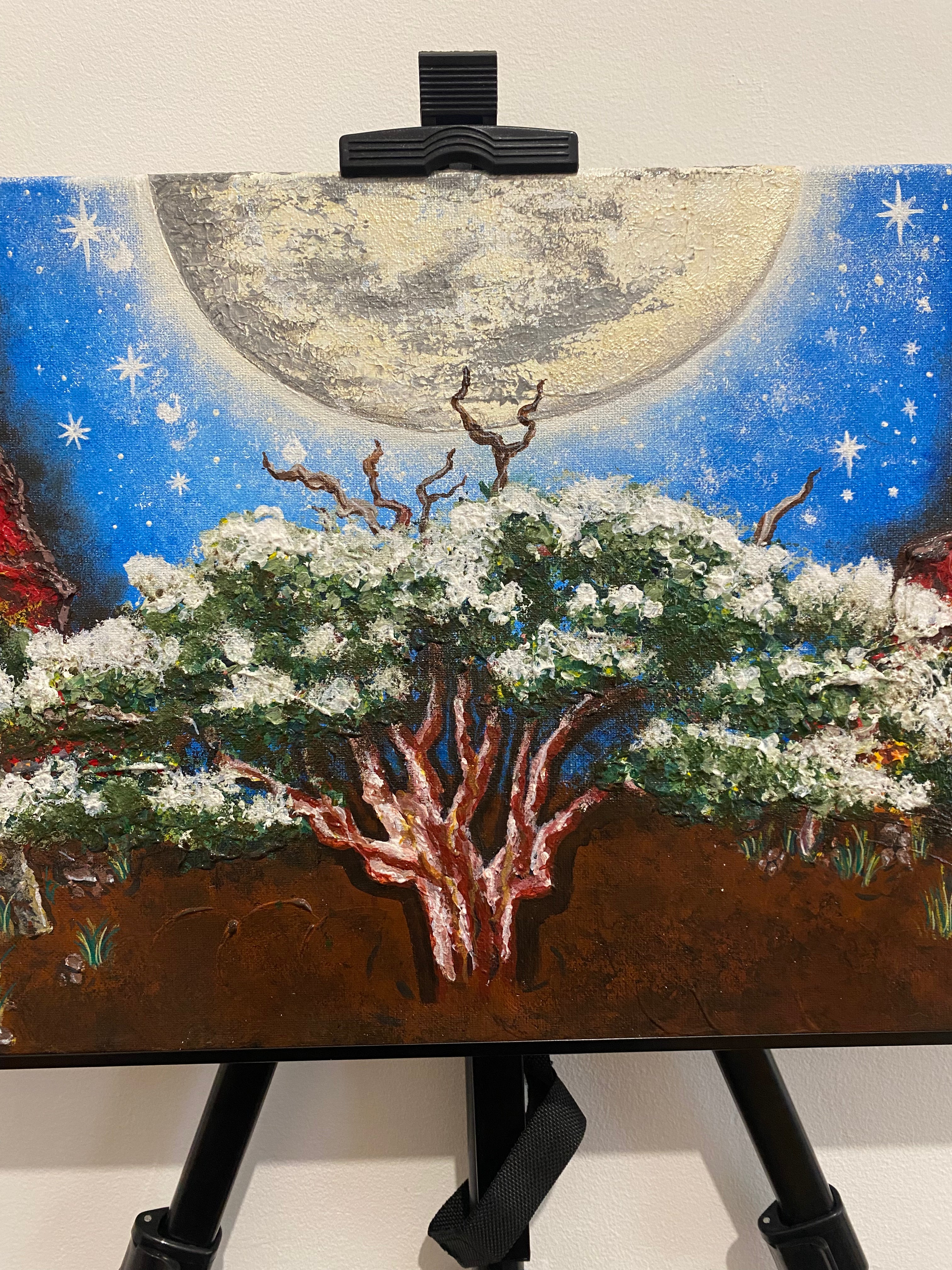Original Canvas - ‘Wida’ – River Red Gum