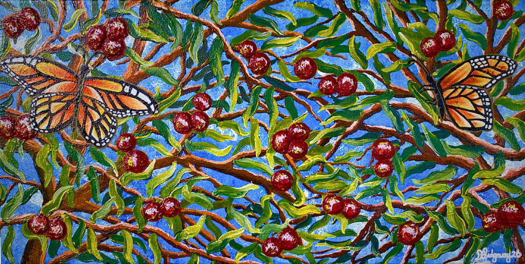 Original Canvas - ‘Urti’ – Quandong / Wild Peach