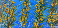 Original Canvas - ‘Nguri’ – Silver Wattle